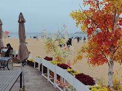 -青岛第二海水浴场