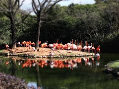 -上海野生动物园
