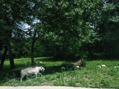 -西安秦岭野生动物园