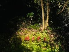 -十八棵（老龙井）御茶园(老龙井店)