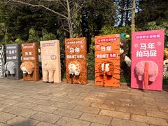 -深圳野生动物园