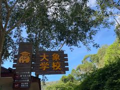 -野象谷景区