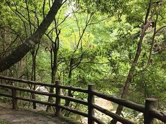 -大鄣山卧龙谷景区