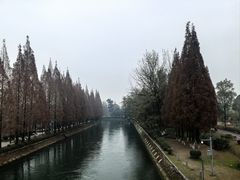 -白鹭湾湿地公园