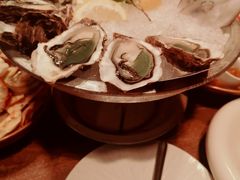 -斯普汇生蚝牛排馆(中骏世界城店)