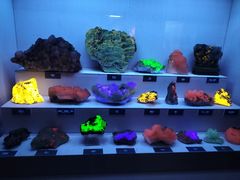 -湖南省地质博物馆