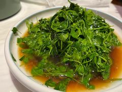 酒香金花菜-老苏州芳和园茶酒楼  传统苏帮菜(观前店)