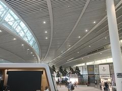 -青岛胶东国际机场