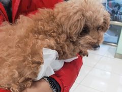 -纳吉亚猫专科动物医院博雅分院