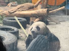 -石家庄市动物园