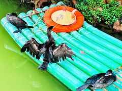 -星湖旅游景区七星岩