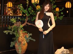 -淮扬府·游园京梦(北京SKP店)