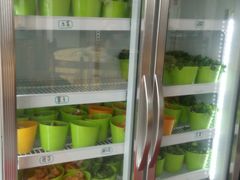 -杏坛公平靓正(伦教滨江店)