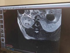 -北京派仕佳德动物医院·超导核磁·CT·神经科·骨科·内外科·急重症管理中心