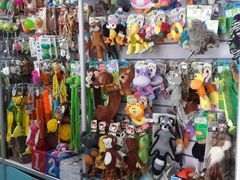 android_upload_pic-北京观赏动物医院·24小时大型综合·猫专科·异宠专科