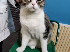 -北京金龙潭御瑞酒店(花园桥地铁站店)