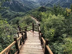 -大岭沟猕猴桃谷风景区