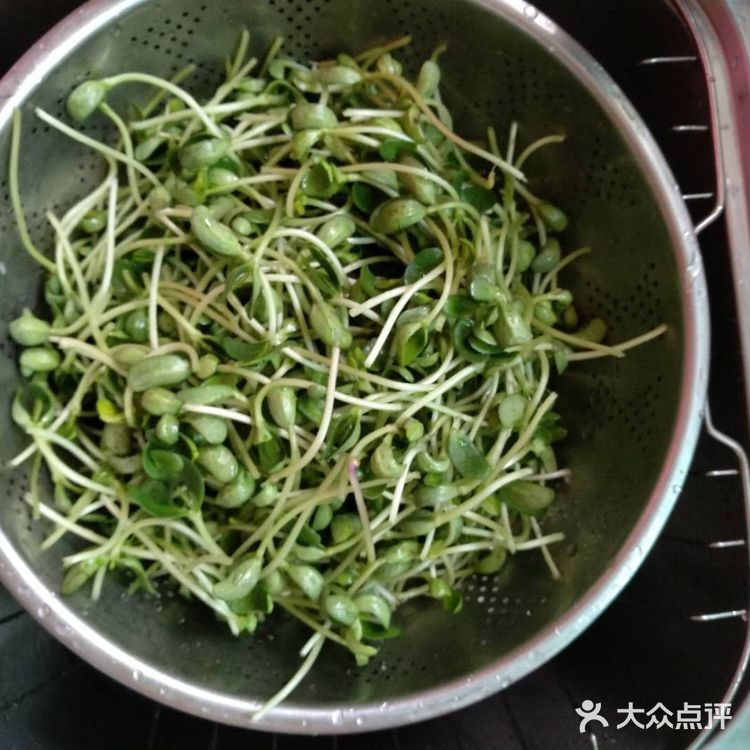 自家种的黑豆芽炒着吃
