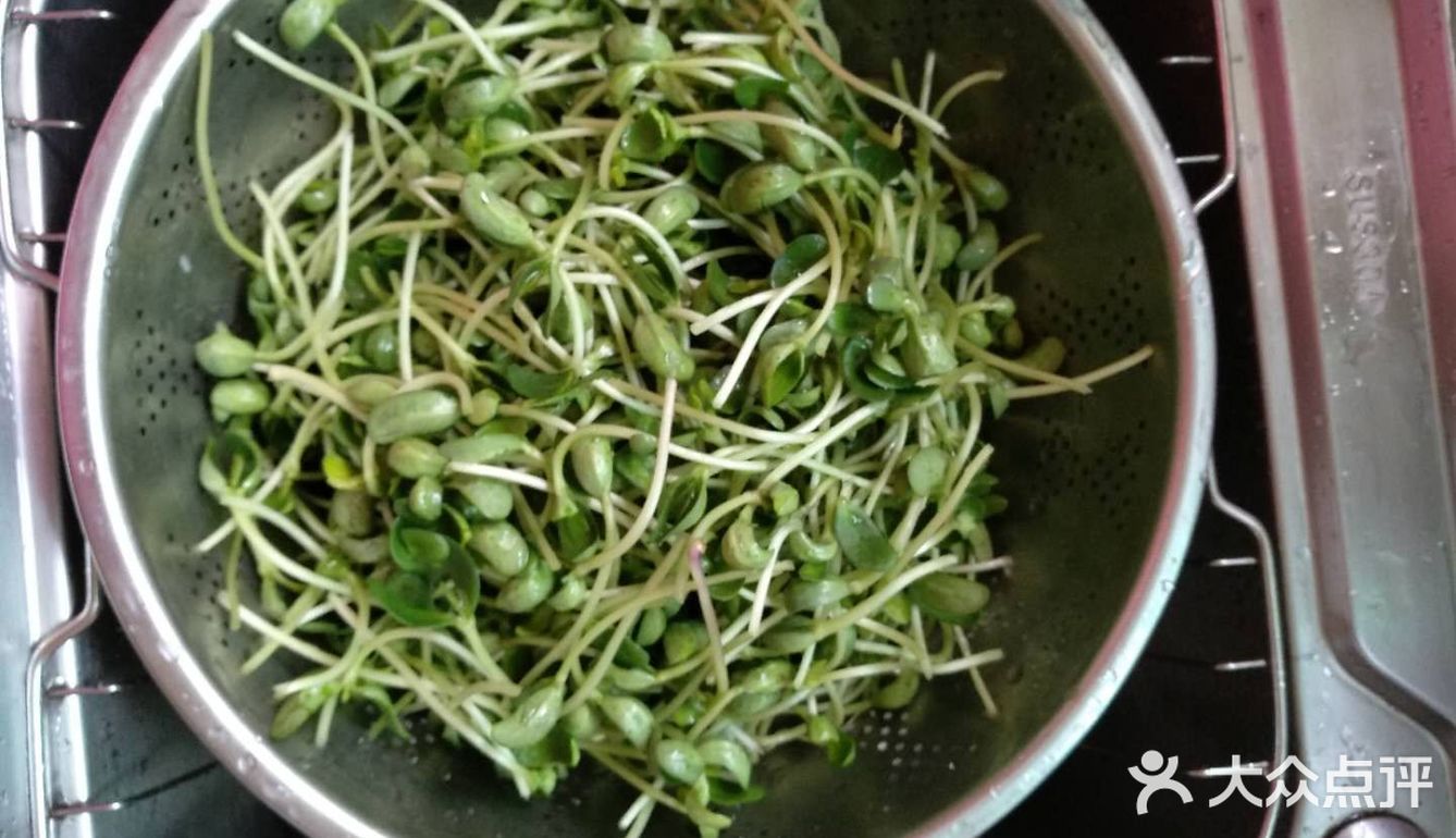 自家种的黑豆芽炒着吃