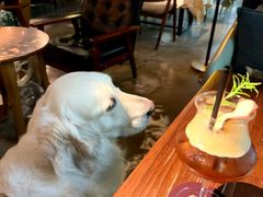 -咖法森林·咖啡  酒吧(天河店)