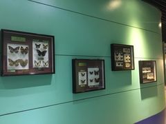 -上海昆虫博物馆