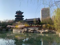 -迎泽公园