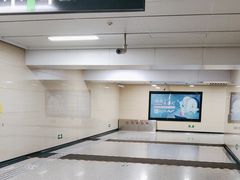 -杨柳河(地铁站)