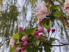 -三里河公园