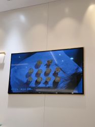 -结绳记(朝阳大悦城店)