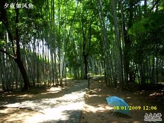 -林丰温泉度假山庄