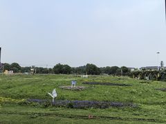 -苏州太湖西山岛开心农场
