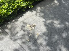 -燕晗山郊野公园