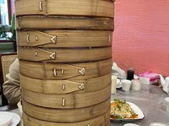 -清茶馆