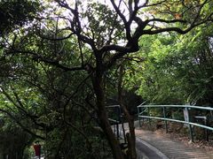 -南丫岛