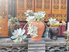 -古大圣慈寺
