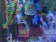 -顺德南宏海立方海洋公园