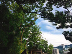 -来宫神社