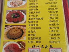 -丁老爷子苏香圆
