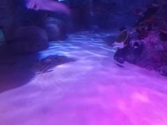 -沈阳海洋探索中心