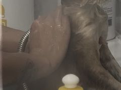 -四月宠物医院·猫专科·心脏专科·内科(转塘店)