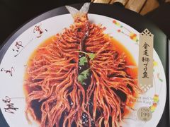 -丹江渔村(望京店)