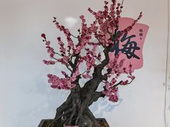 -颐和园