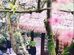 -中国茶叶博物馆(双峰馆区)
