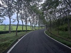 -宜兴龙背山森林公园