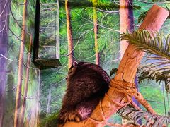 -正佳雨林生态植物园