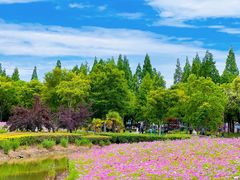 -歌斐颂巧克力小镇