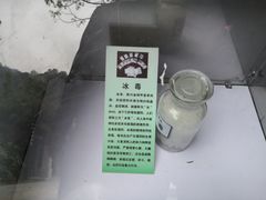 -火炉山森林公园