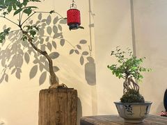 -成川茶店·潮汕工夫浓茶(万象店)