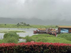 -腾冲北海湿地