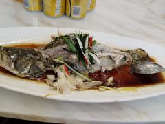 清蒸桂鱼-梅龙镇酒家(南京西路总店)